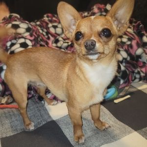 Meet your Posher, Nena